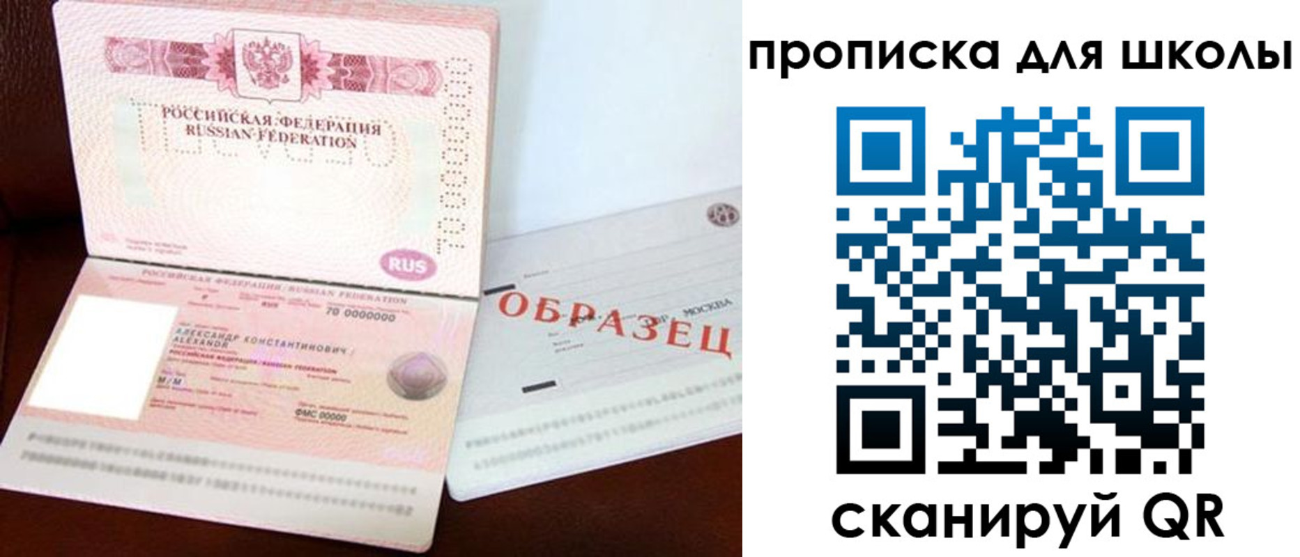 прописка для школы в Королёве