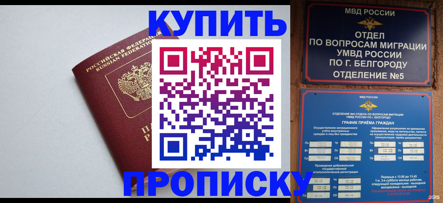 прописка регистрация в Королёве